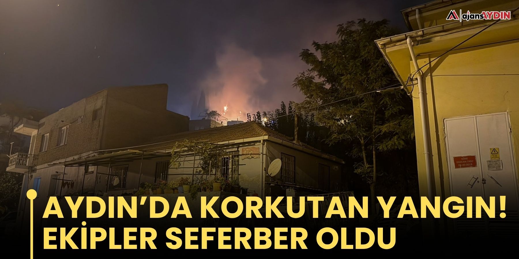 Aydın’da korkutan yangın!  Ekipler seferber oldu