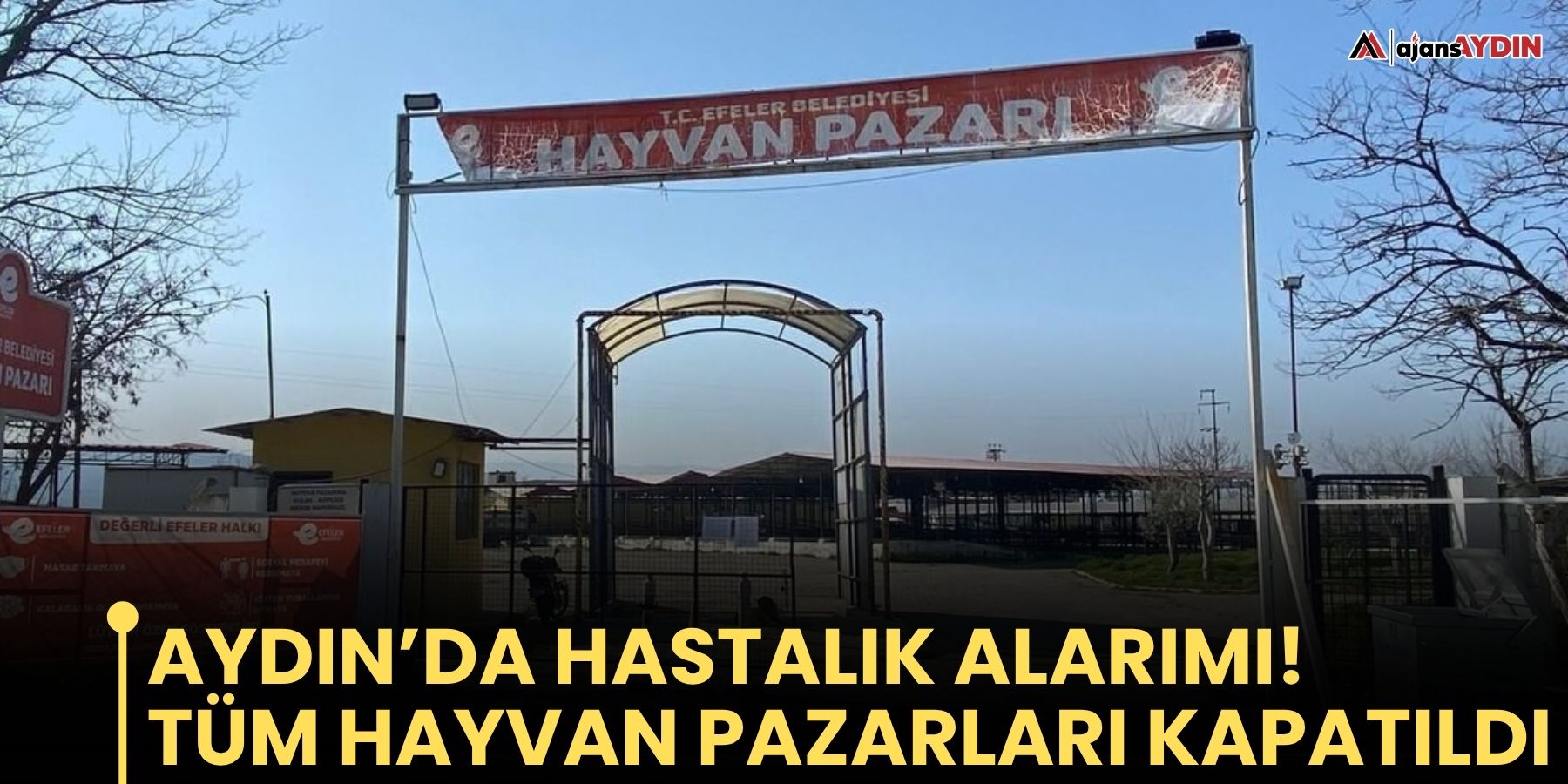 Aydın’da hastalık alarımı!  tüm hayvan pazarları kapatıldı