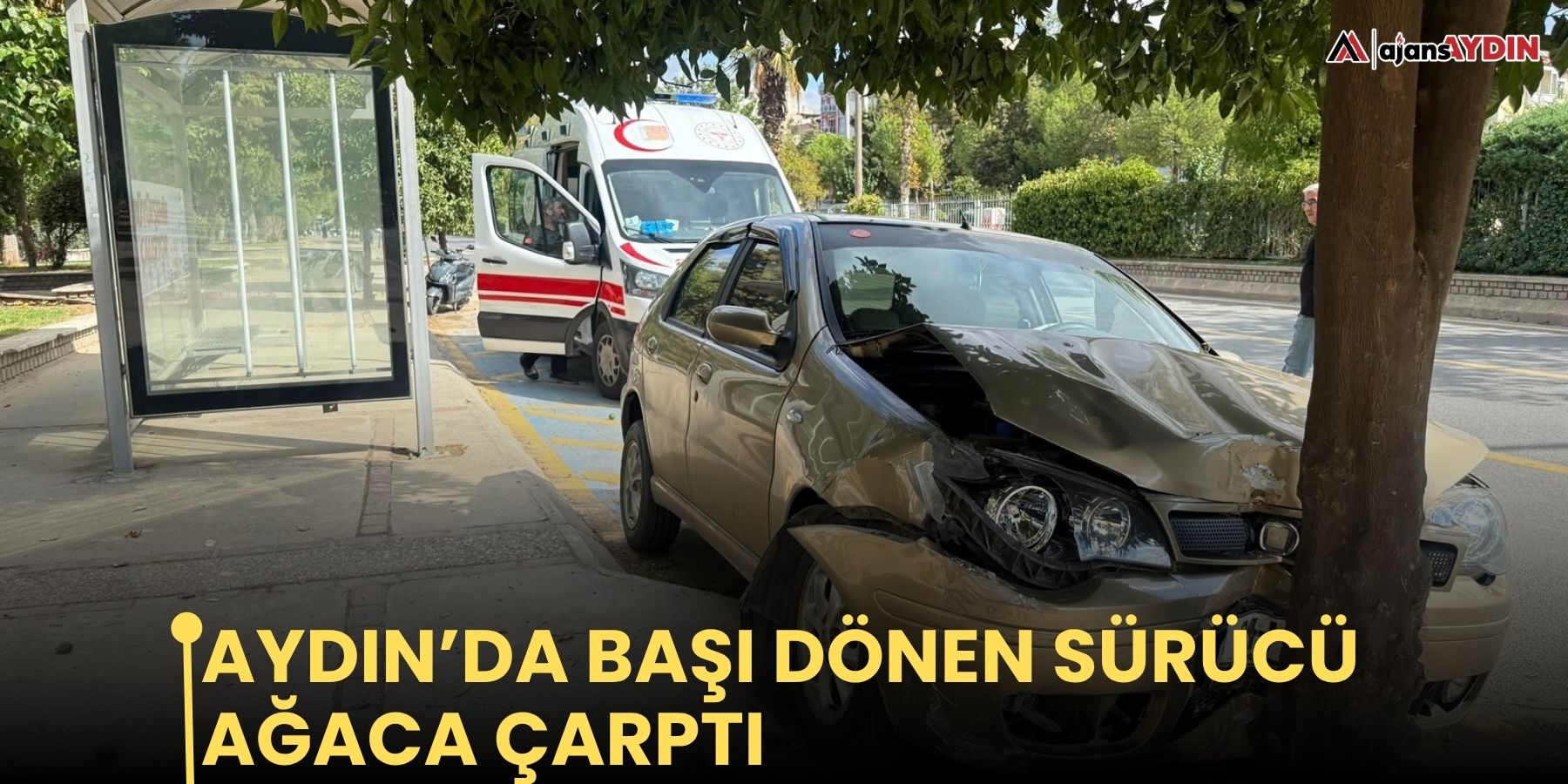 Aydın’da başı dönen sürücü ağaca çarptı