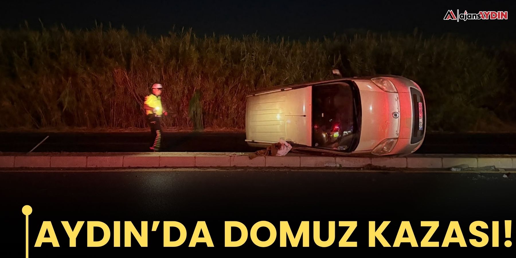 Aydın’da  domuz kaza! araç takla attı