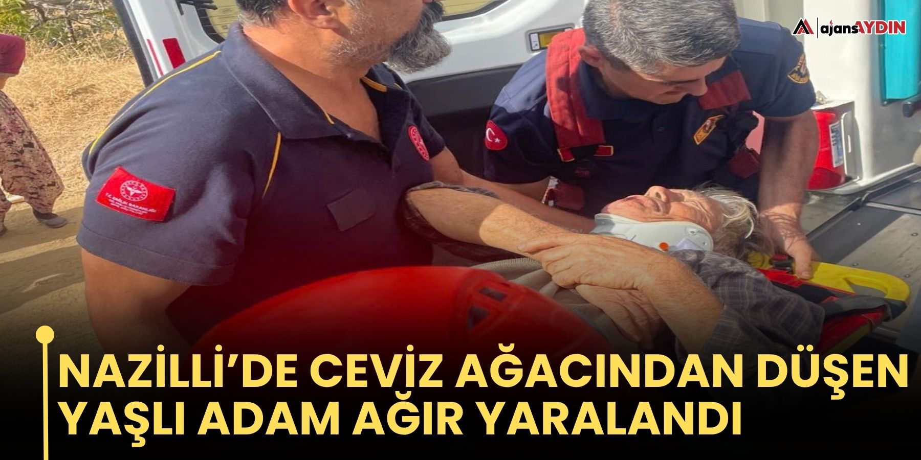 Nazilli’de Ceviz Ağacından Düşen Yaşlı Adam Yaralandı