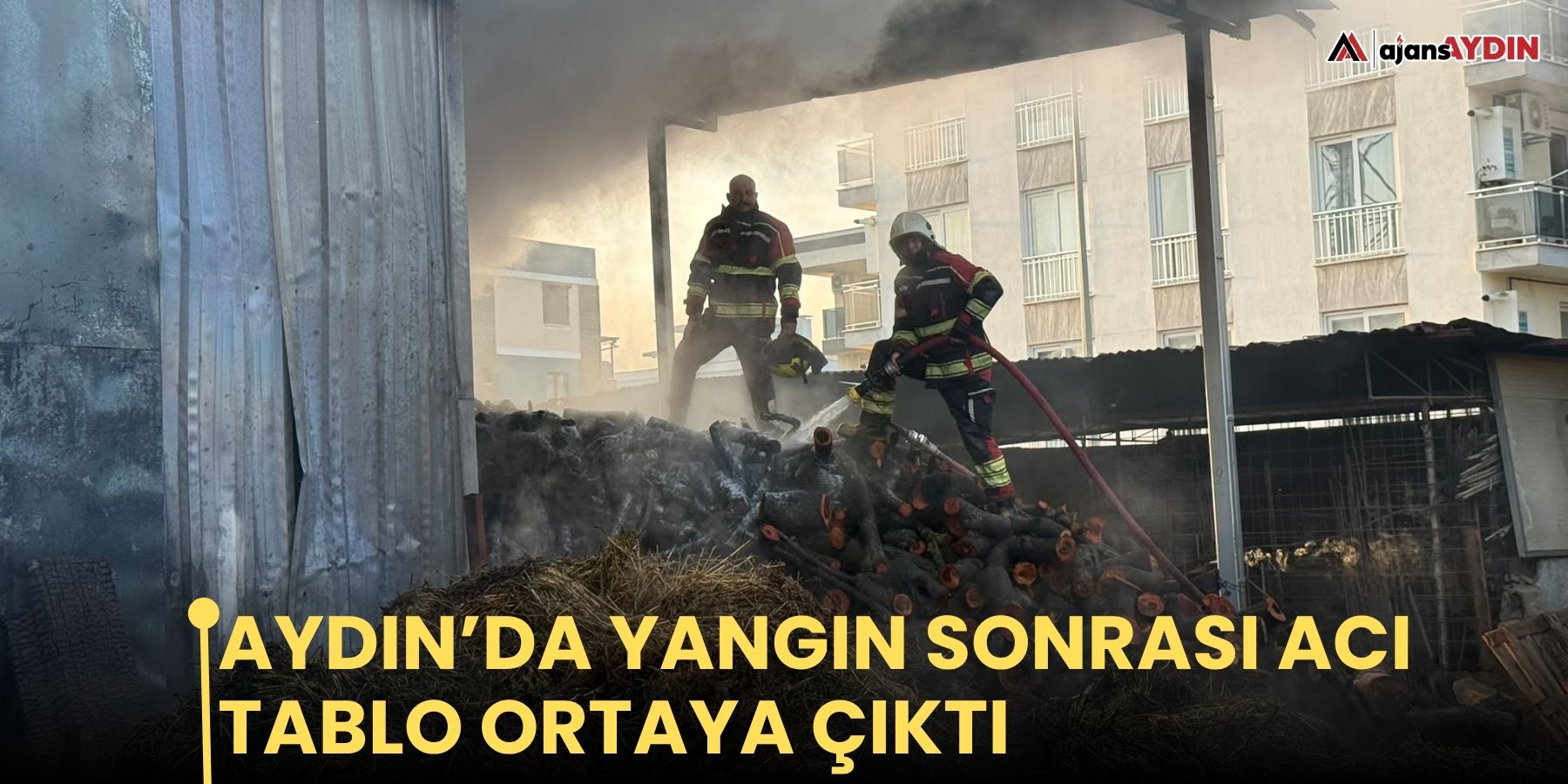 Aydın’da yangın sonrası acı tablo ortaya çıktı