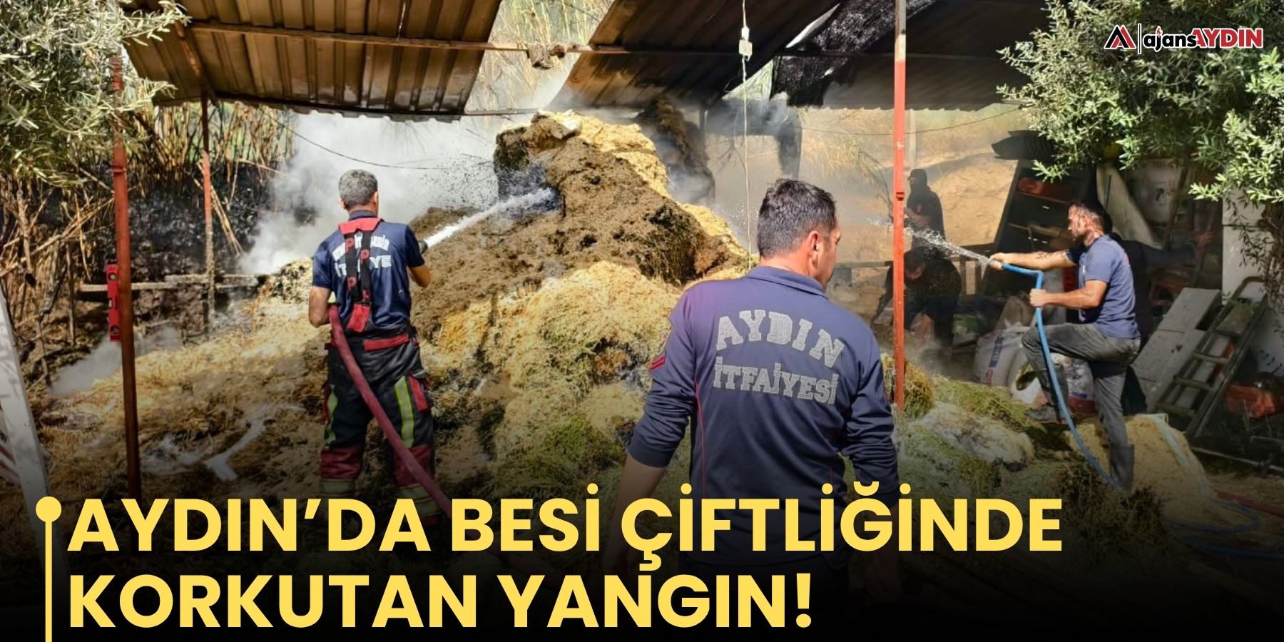 Bozyurt’ta Besi Çiftliğinde Yangın