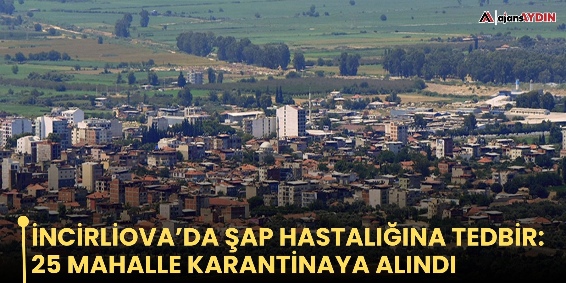 İncirliova’da şap hastalığına tedbir: 25 mahalle karantinaya alındı