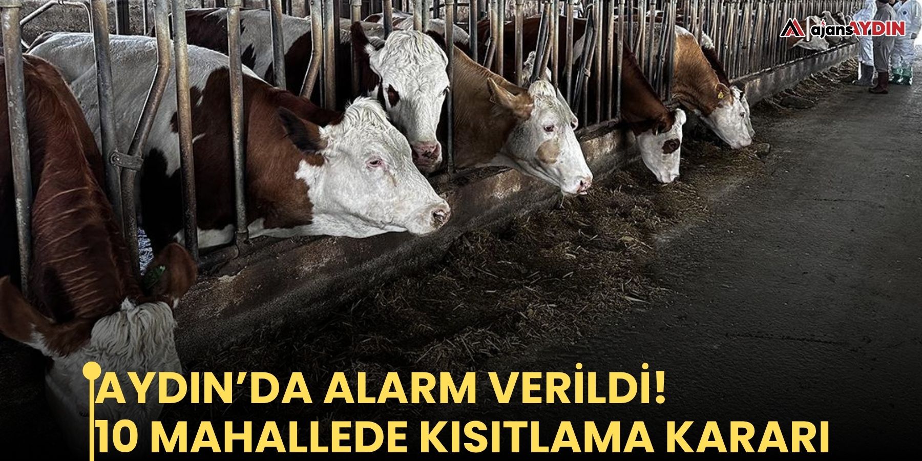 Aydın’da alarm verildi! 10 mahallede kısıtlama kararı