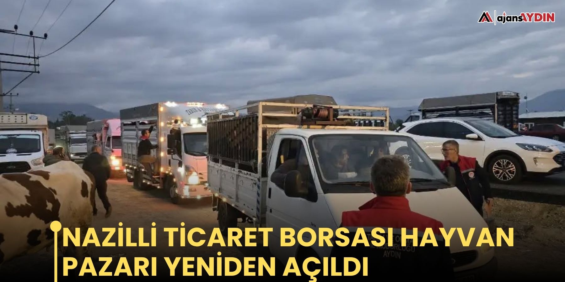 Nazilli Ticaret Borsası Hayvan Pazarı yeniden açıldı