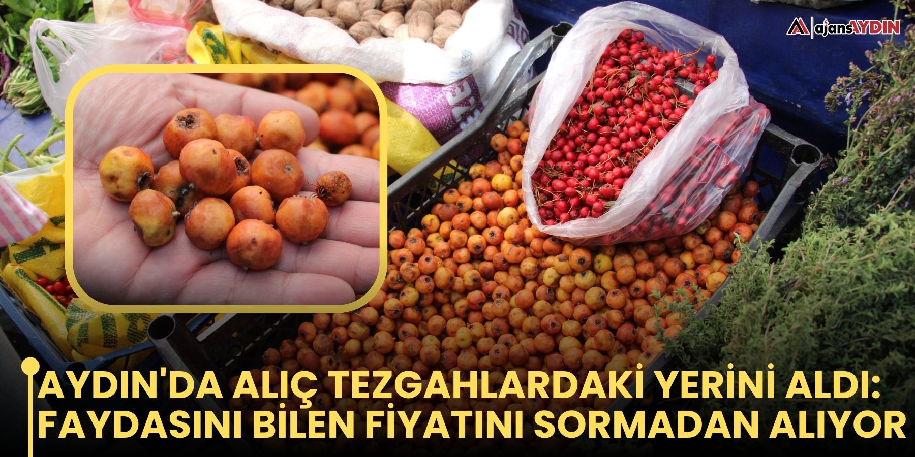 Aydın'da alıç tezgahlardaki yerini aldı: Faydasını bilen fiyatını sormadan alıyor