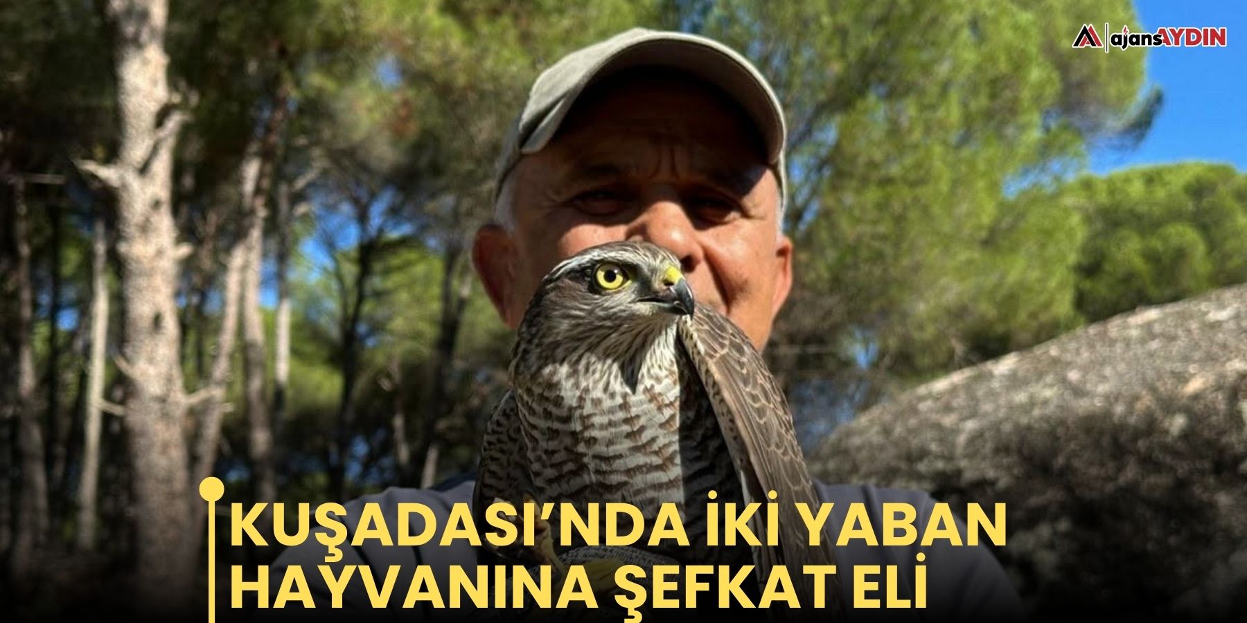 Kuşadası’nda iki yaban hayvanına şefkat eli