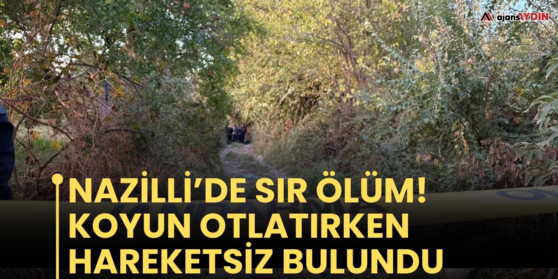 Nazilli’de koyun otlatırken hayatını kaybetti