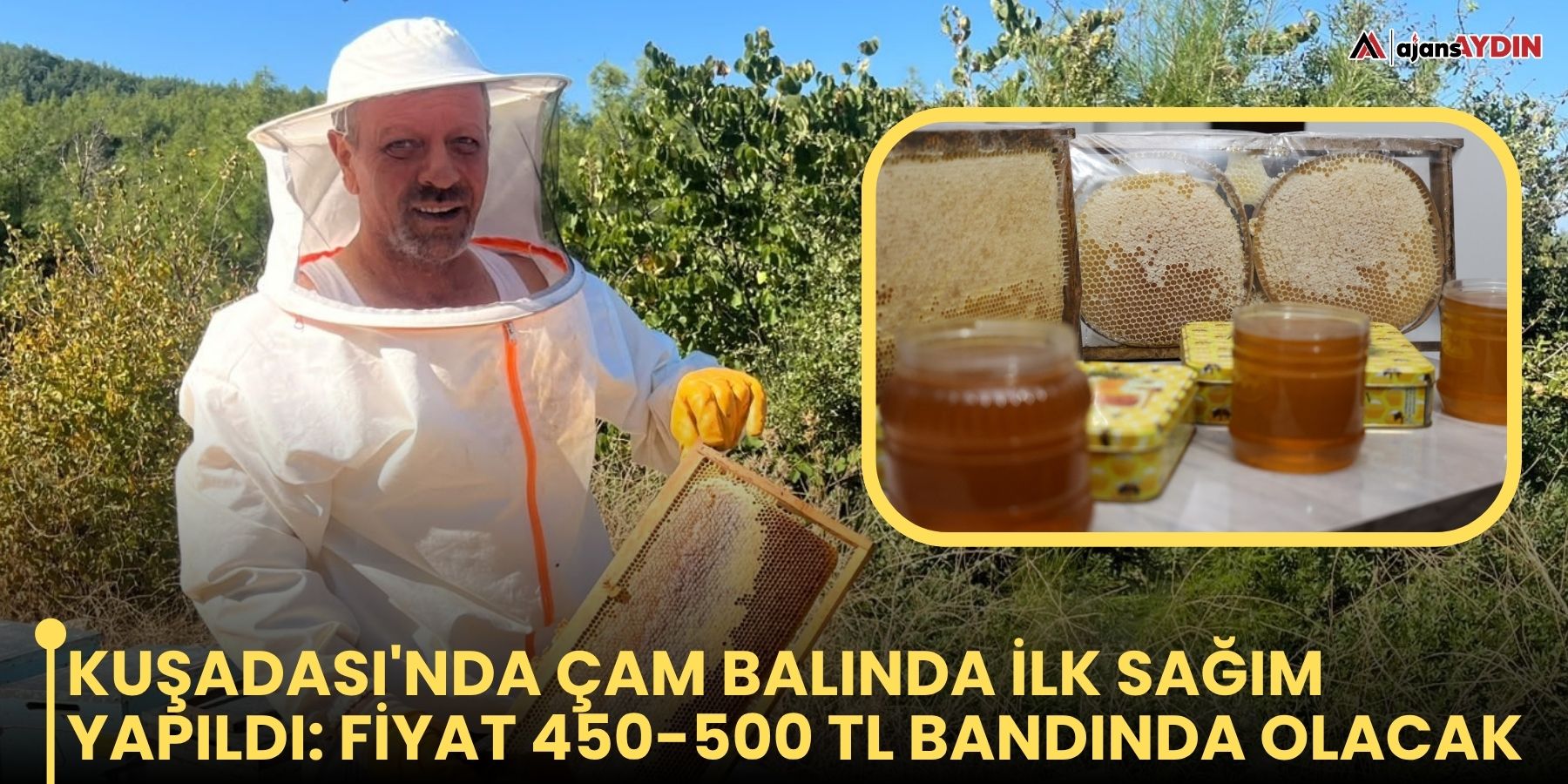 Kuşadası'nda çam balında ilk sağım yapıldı: fiyat 450-500 TL bandında olacak