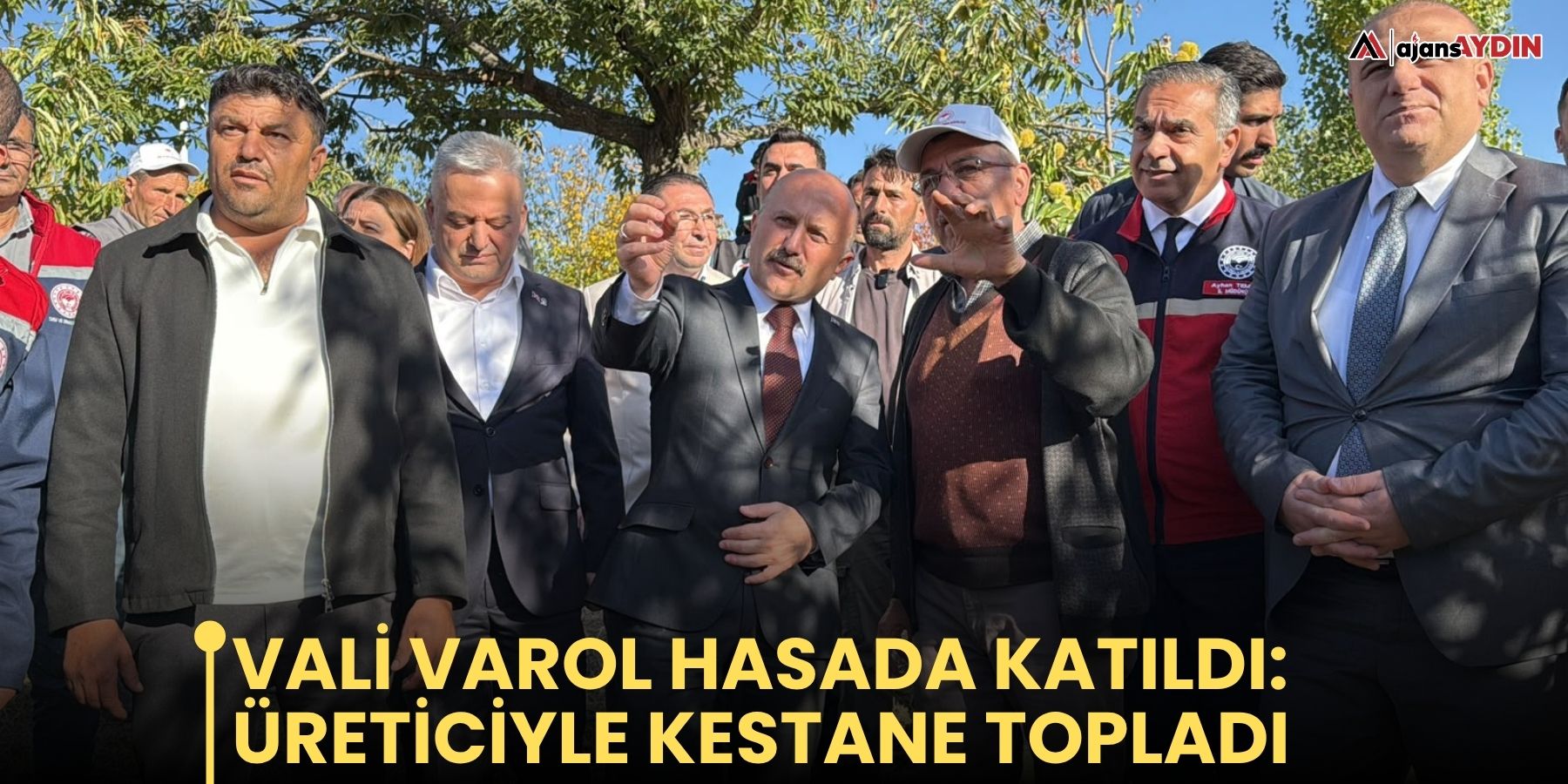 Vali Varol hasada katıldı: üreticiyle kestane topladı