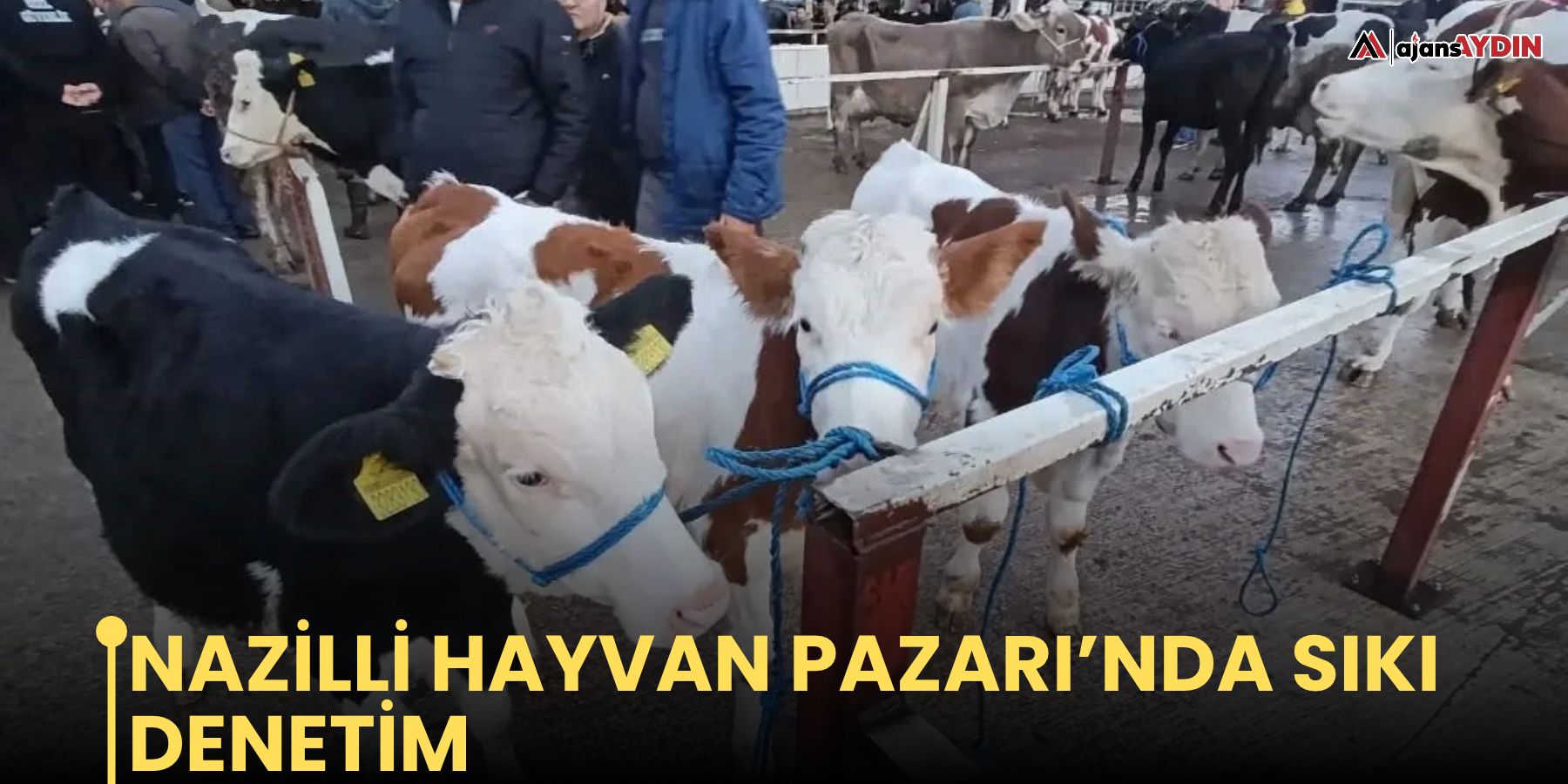 Nazilli Hayvan Pazarı’nda sıkı denetim