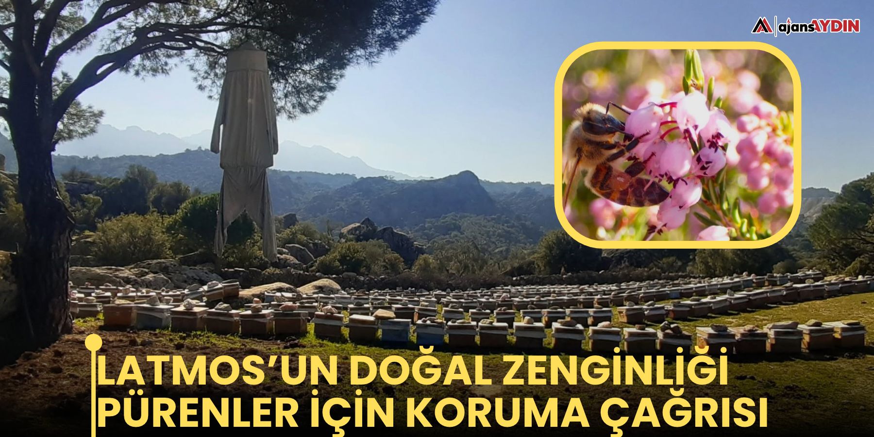 Latmos’un doğal zenginliği pürenler için koruma çağrısı