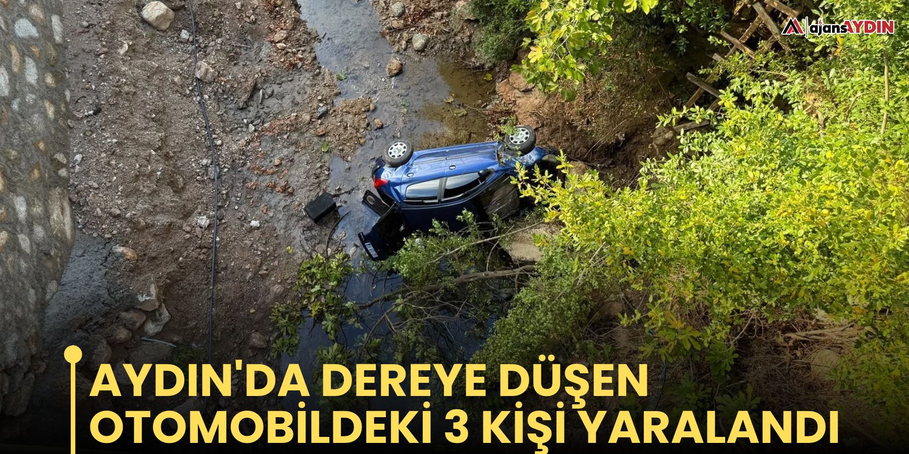 Aydın'da dereye düşen otomobildeki 3 kişi yaralandı