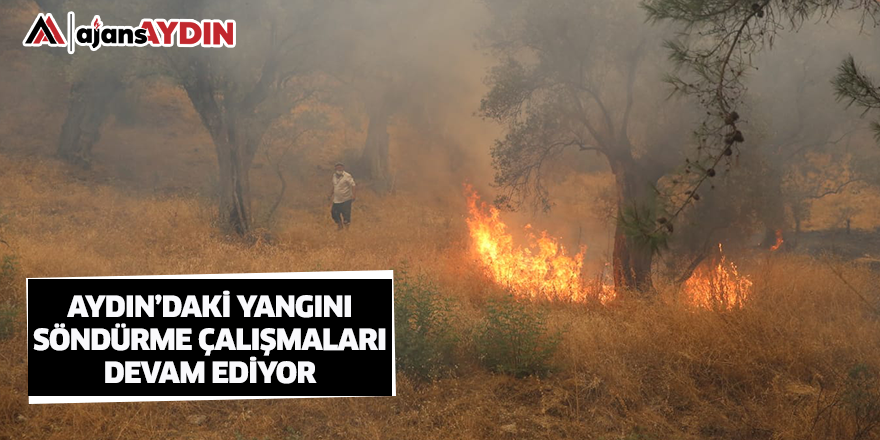 Aydın'daki yangını söndürme çalışmaları devam ediyor 