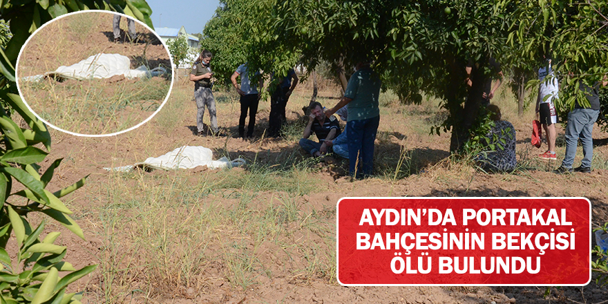 Aydın'da portakal bahçesinin bekçisi ölü bulundu
