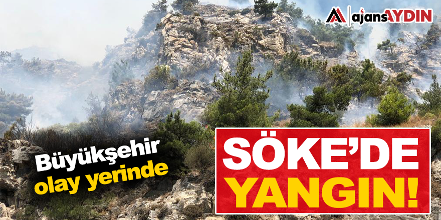 Söke'de yangın!