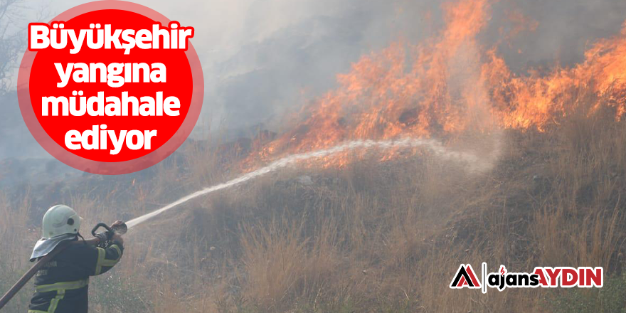 Büyükşehir Belediyesi Söke'de Çıkan Yangına Müdahale Ediyor