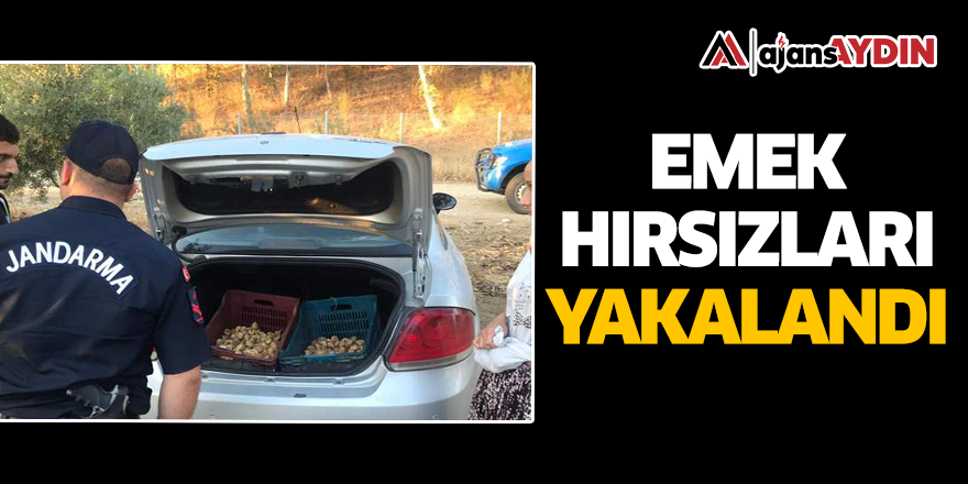 Emek hırsızları yakalandı