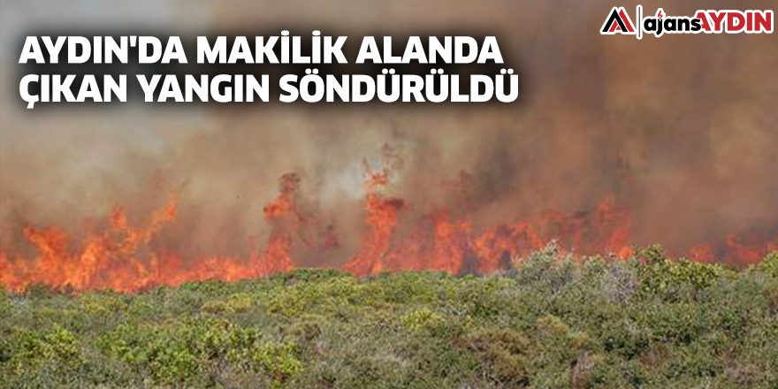 Aydın'da makilik alanda çıkan yangın söndürüldü