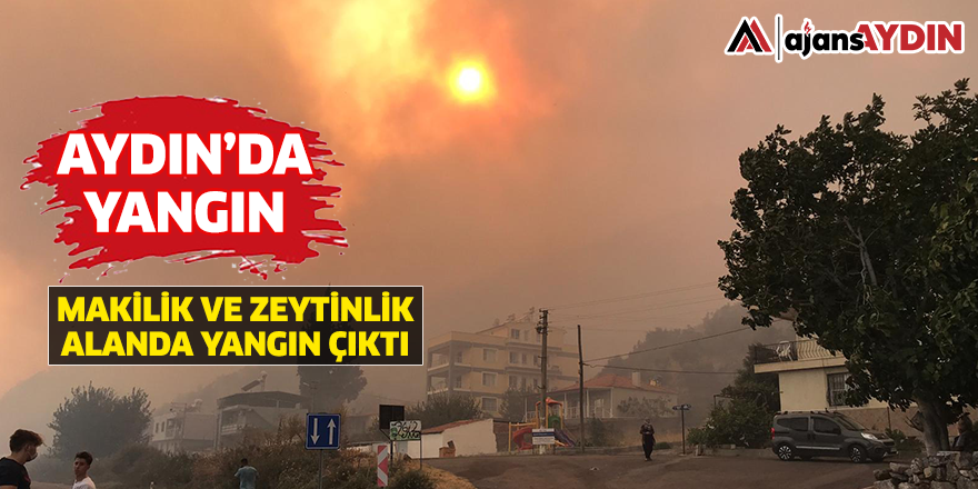 Aydın'da yangın / Makilik ve zeytinlik alanda yangın çıktı