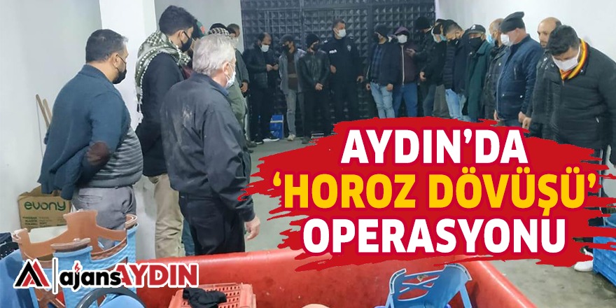 Aydın'da horoz dövüştüren 27 kişiye 121 bin lira para cezası