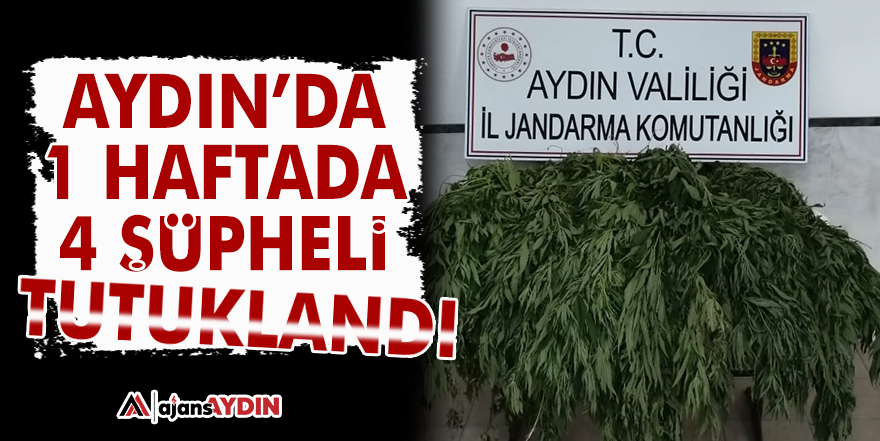 Aydın'da 1 haftada 4 şüpheli tutuklandı