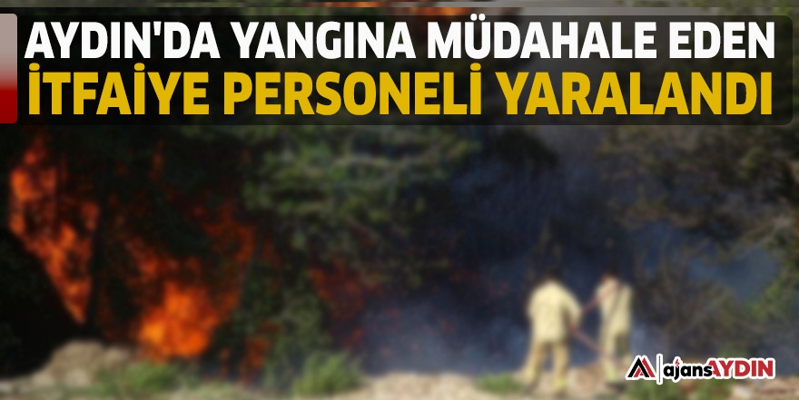 Aydın'da yangına müdahale eden itfaiye personeli yaralandı