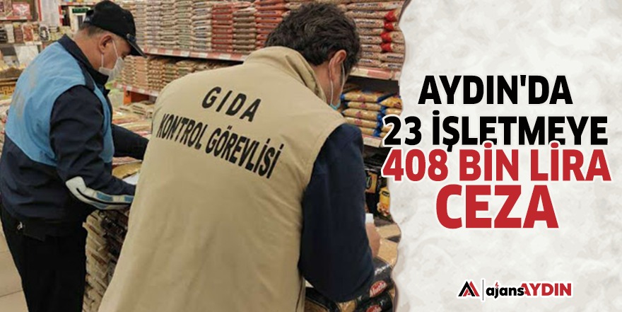 Aydın'da 23 işletmeye 408 bin lira ceza