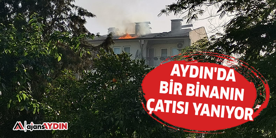 Aydın'da bir binanın çatısı yanıyor