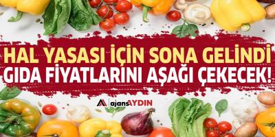 Hal Yasası için sona gelindi