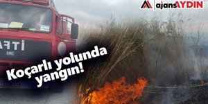 Sazlık alanda korkutan yangın