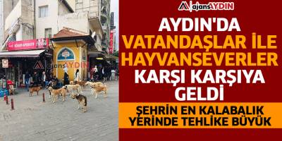 Aydın'da vatandaşlar ile hayvanseverler karşı karşıya geldi
