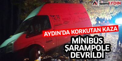 Aydın'da minibüs şarampole devrildi