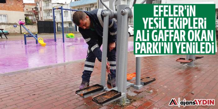 Efeler'in yeşil ekipleri Ali Gaffar Okan Parkı'nı yeniledi