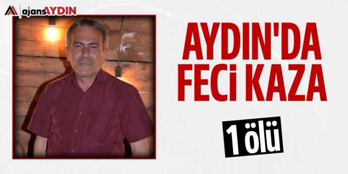 Aydın'da feci kaza: 1 yaralı