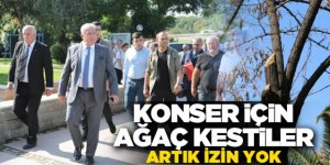 KONSER İÇİN AĞAÇ KESTİLER