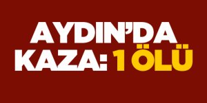 Aydın'da kaza: 1 ölü