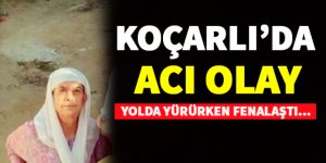 Koçarlı'da Acı Olay