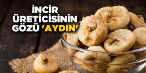 İNCİR ÜRETİCİSİNİN GÖZÜ 'AYDIN'