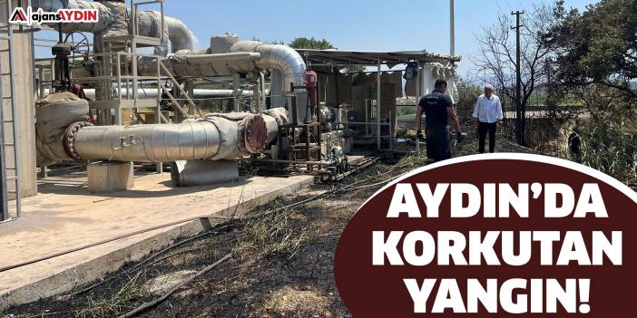 Aydın’da korkutan yangın!