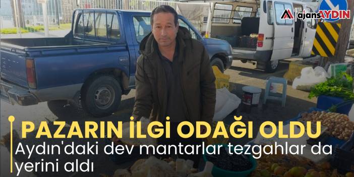 PAZARIN İLGİ ODAĞI OLDU  Aydın'daki dev mantarlar tezgahlar da yerini aldı
