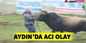 Aydın'da acı olay