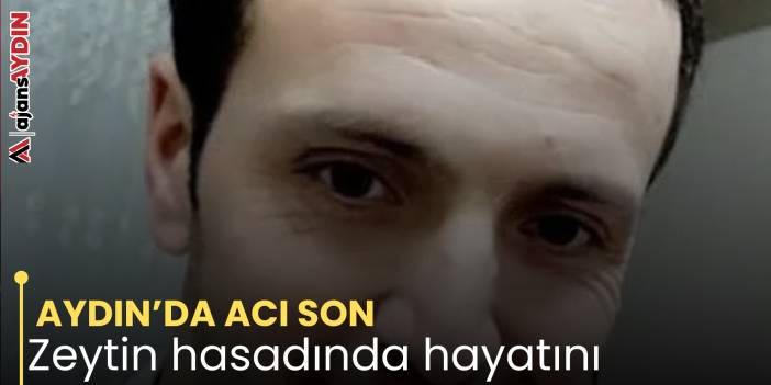 AYDIN’DA ACI SON  Zeytin hasadında hayatını kaybetti