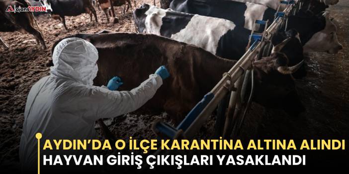 Aydın’da o ilçe karantina altına alındı  Hayvan giriş çıkışları yasaklandı