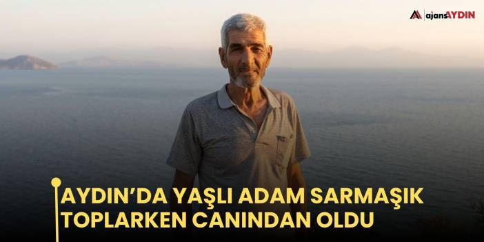 Aydın’da yaşlı adam sarmaşık toplarken canından oldu