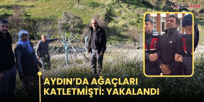 Aydın’da ağaçları katletmişti: yakalandı