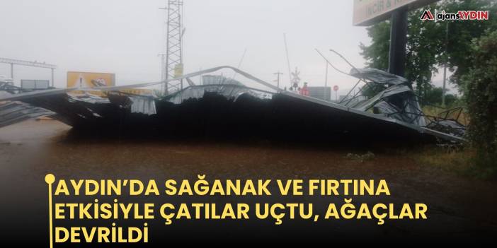 Aydın’da sağanak ve fırtına etkisiyle çatılar uçtu, ağaçlar devrildi