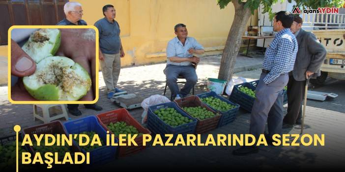 Aydın’da ilek pazarlarında sezon başladı
