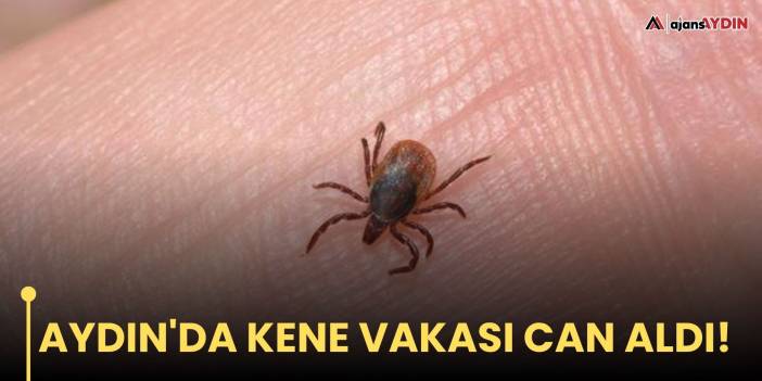 Aydın'da kene vakası can aldı!